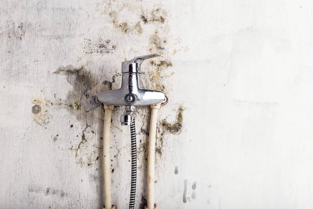 Best Mold Testing  in Pinole, CA
