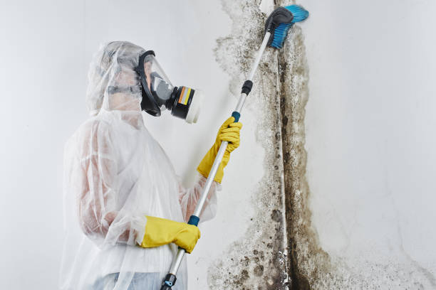 Water Damage Restoration in Pinole, CA
