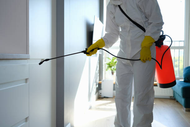 Best Office Mold Removal Services  in Pinole, CA