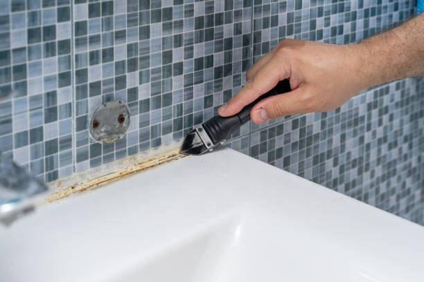 Best Professional Mold Removal  in Pinole, CA
