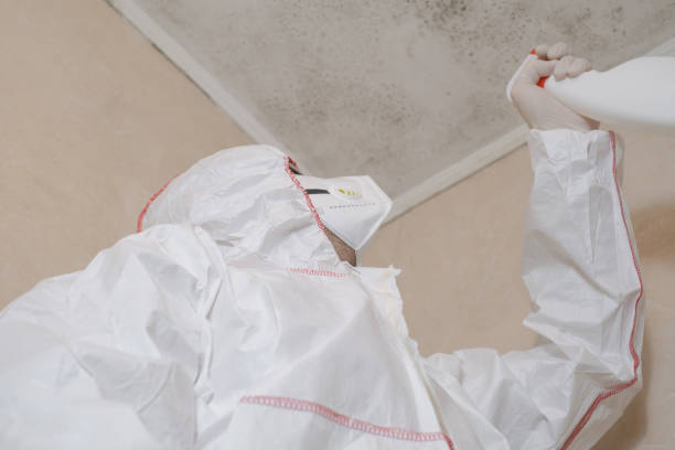 Best Emergency Mold Removal  in Pinole, CA