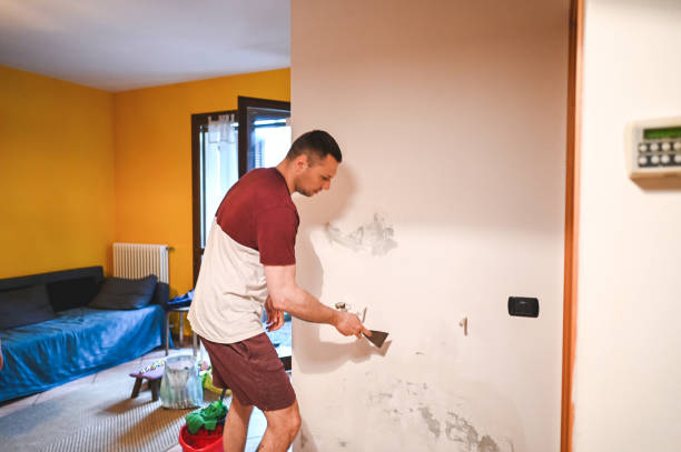 Best Attic Mold Removal  in Pinole, CA